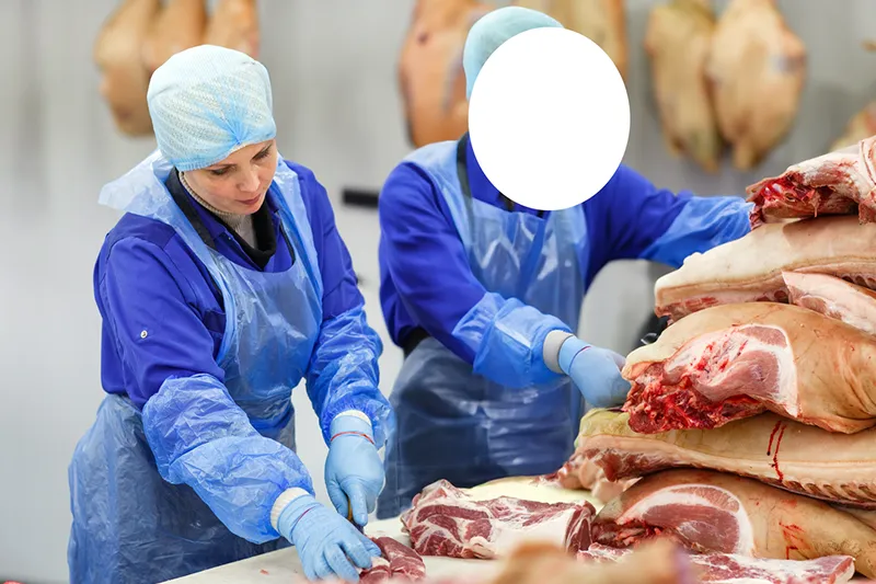 Beschermende kleding voor de voedingsindustrie - beschermschorten - ABENA Professional